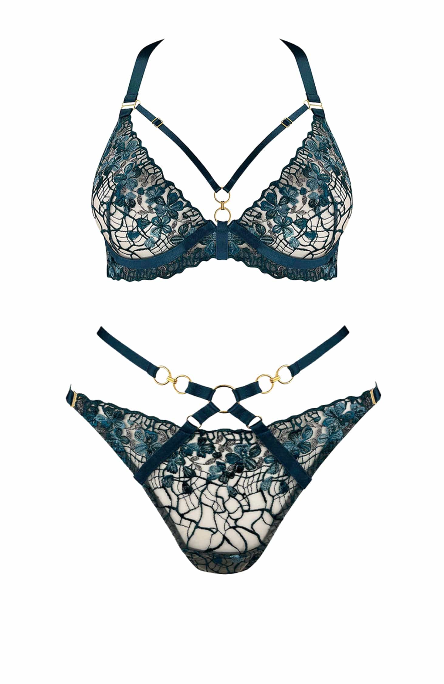 Amela Plunge Bra and Open Back Brief Set