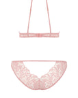 Rose High Neck Plunge Bra and Brazilian Knicker Set