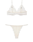 Lovely Bra and Charlotte Brief Set