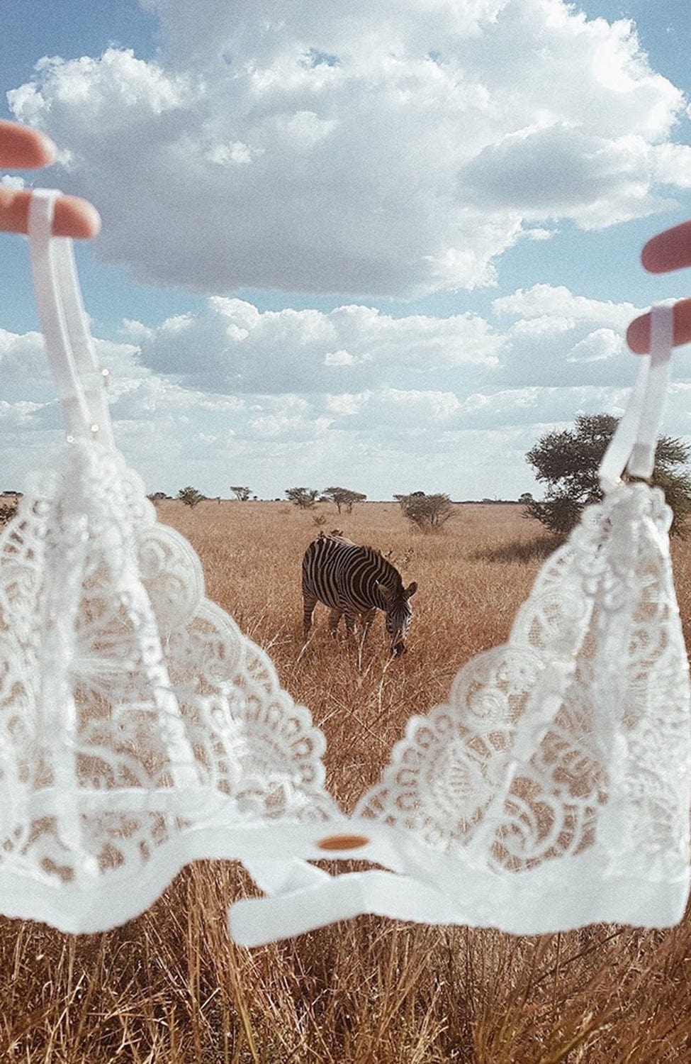 Delilah Triangle Bralette