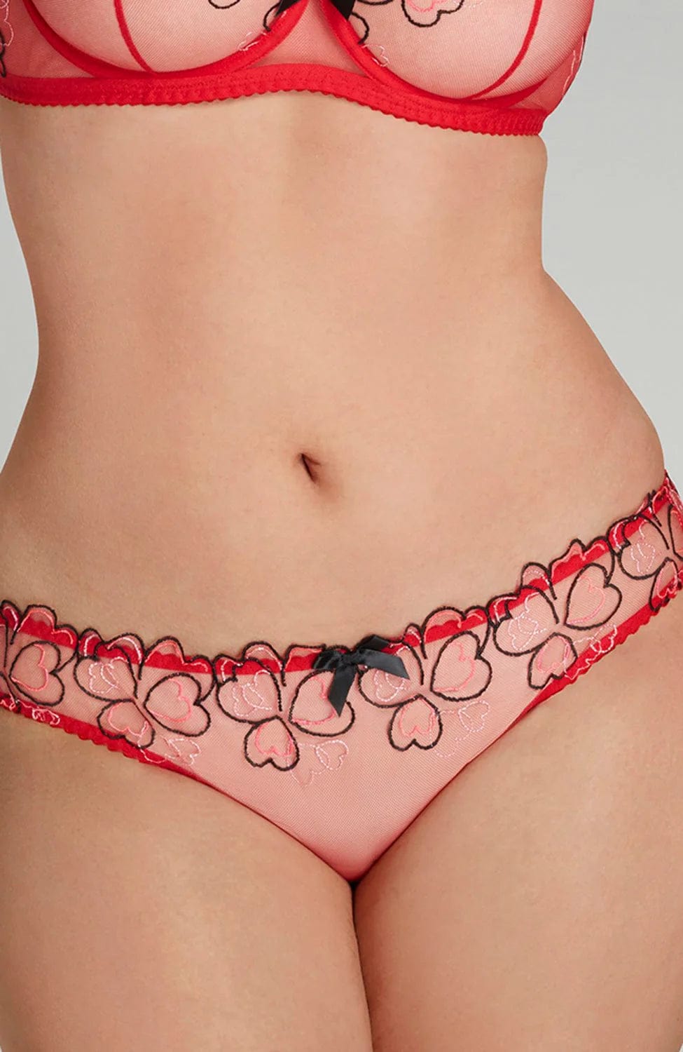 Sheer Lingerie Agent Provocateur Underwear Maysie Brief