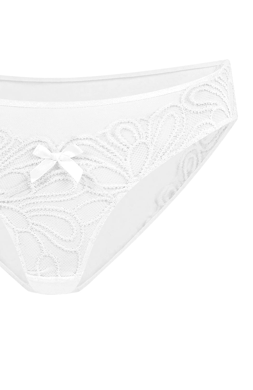 Sheer Lingerie Agent Provocateur Underwear Nelle Brief