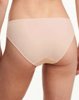 Sheer Lingerie Chantelle Underwear Marilyn Brief