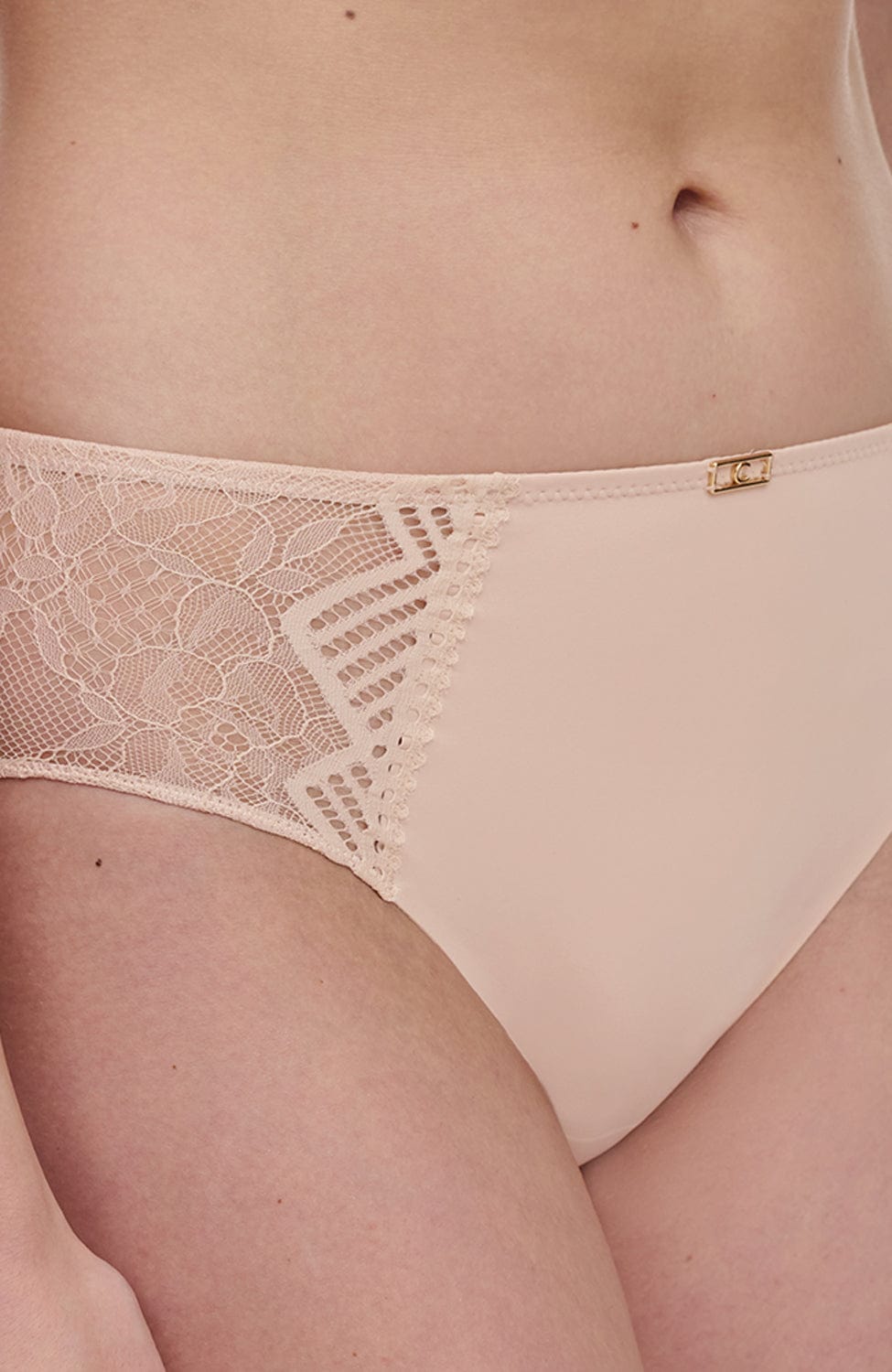 Sheer Lingerie Chantelle Underwear Origins Brief