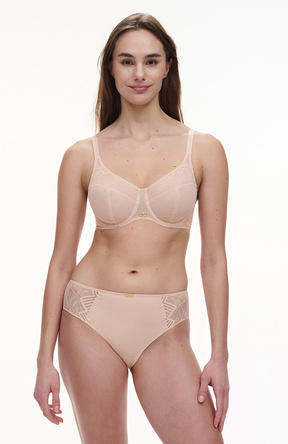 Sheer Lingerie Chantelle Underwear Origins Brief