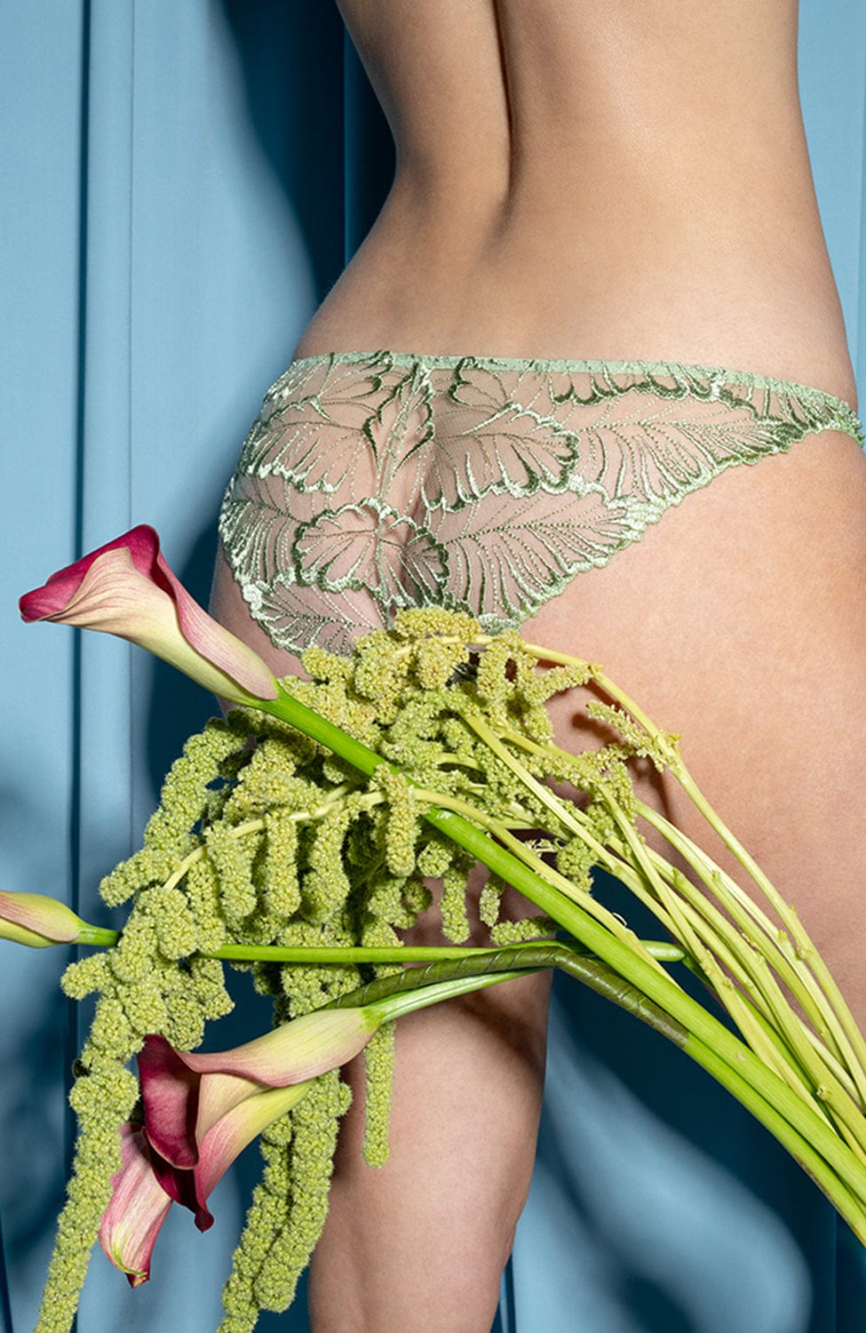 %shop_name_% SHEER_Laurel Plunge Bra and Brief Set _ _