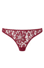 Sheer Lingerie Coco De Mer Underwear Bordeaux / 2502 / XS Naraya Brazilian Knicker