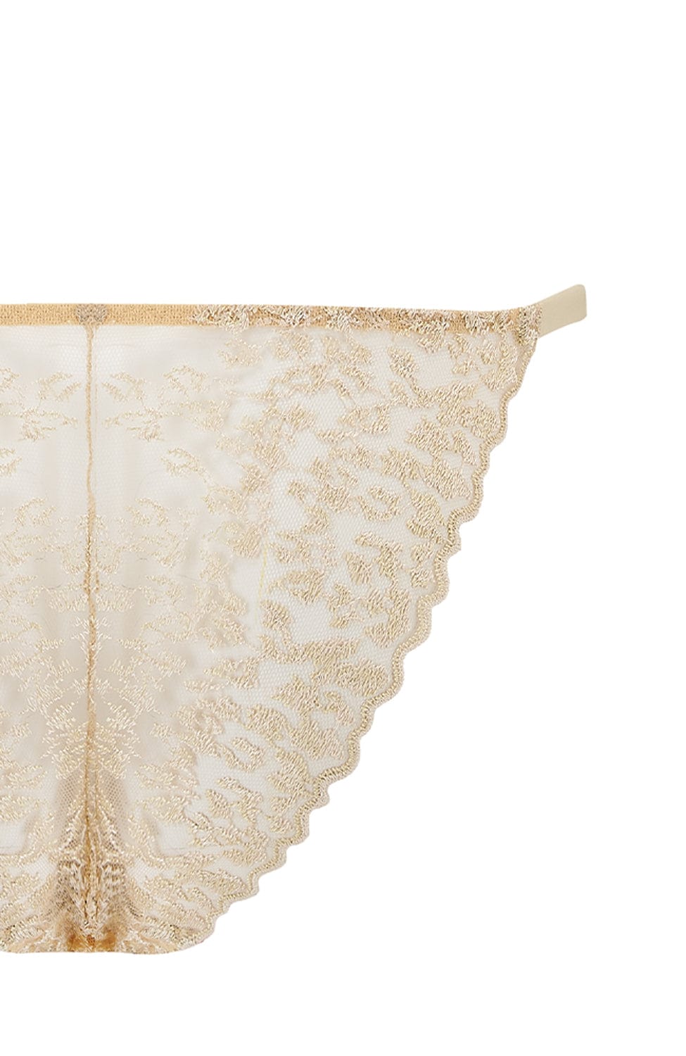 Sheer Lingerie Coco De Mer Underwear Selena Brazilian Knicker