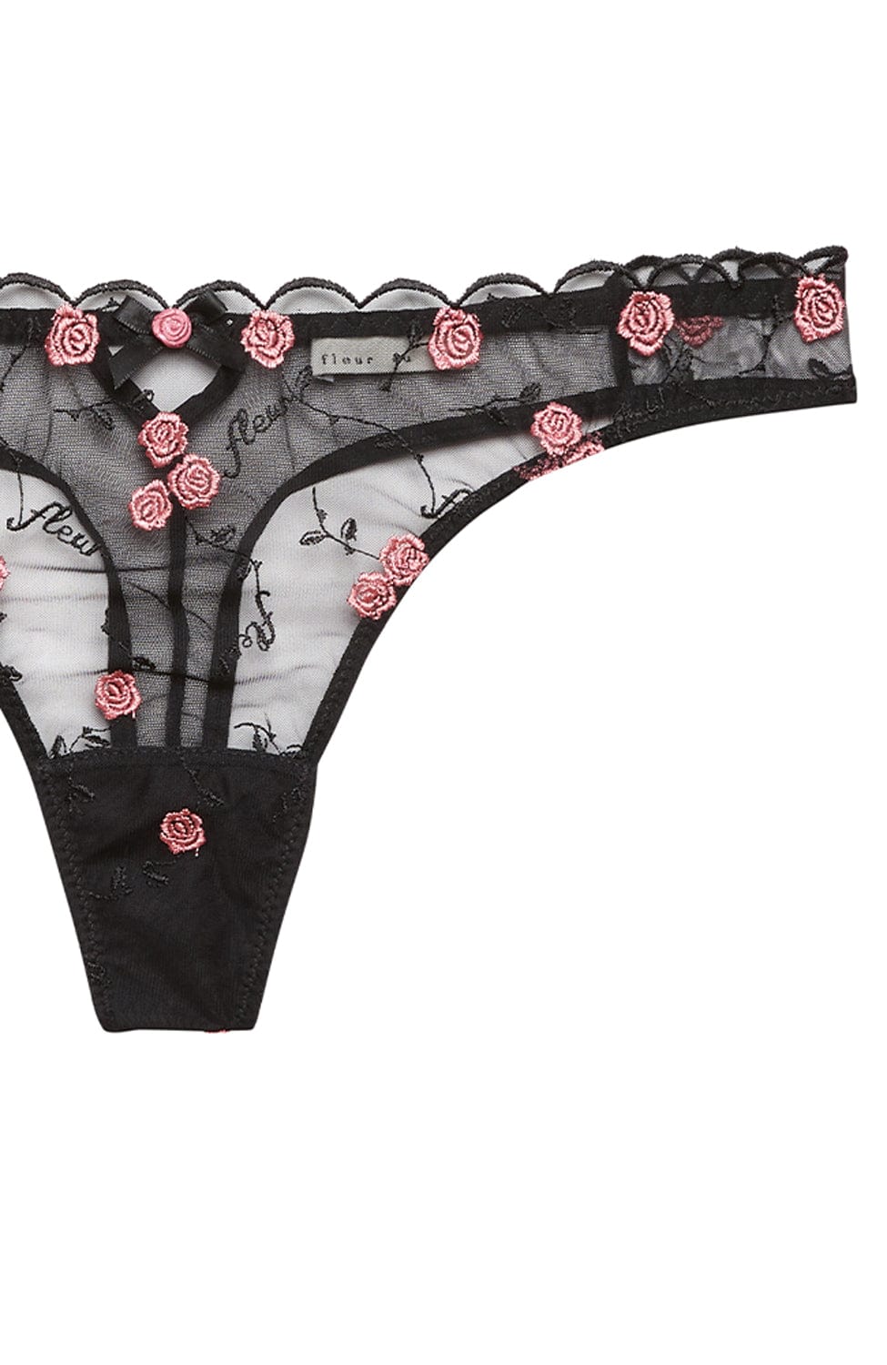 Sheer Lingerie Fleur du Mal Underwear Rose and Vine Embroidery Thong