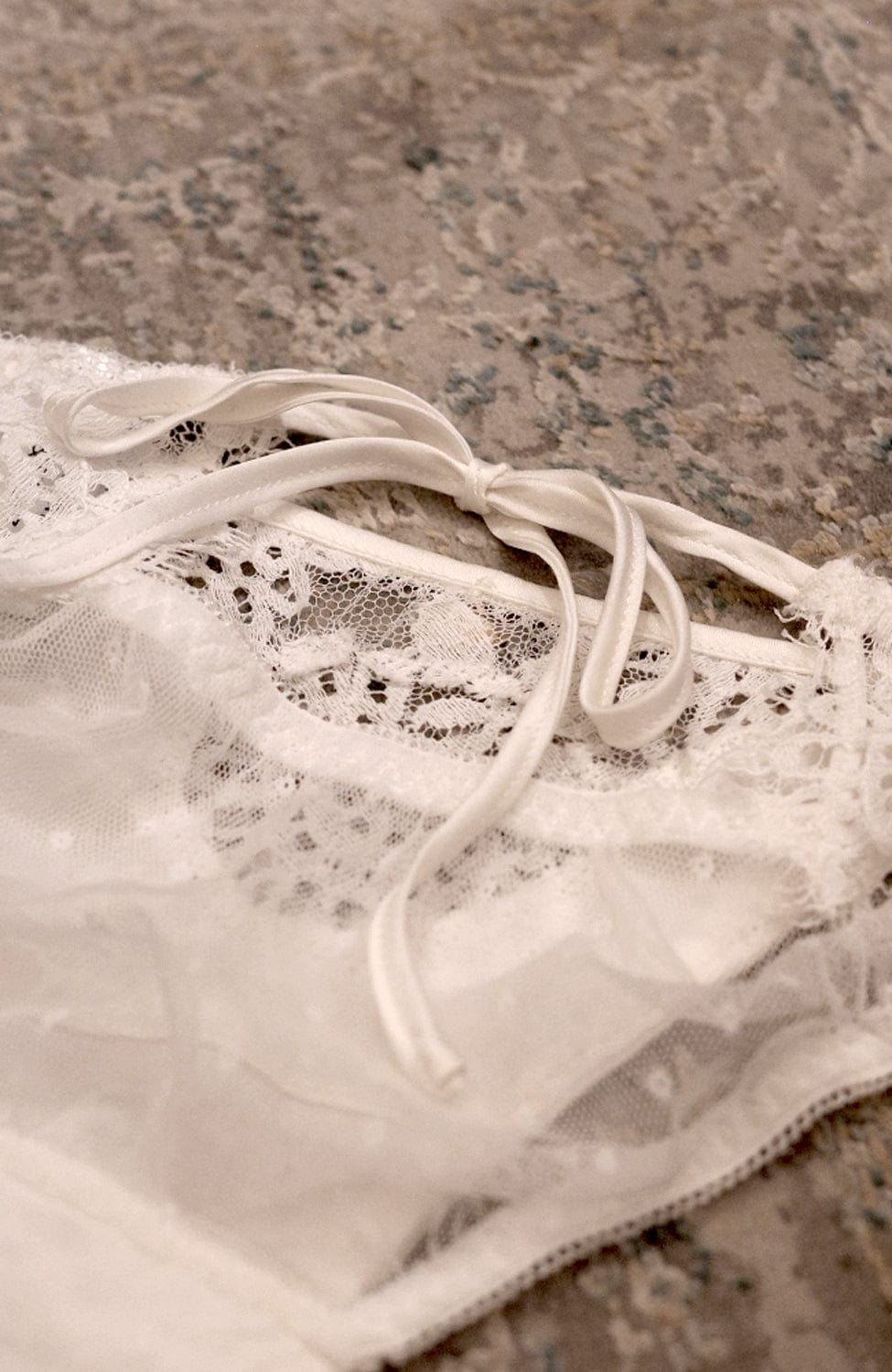 Sheer Lingerie Shell Belle Couture Underwear Keeping Secrets Boudoir Brief