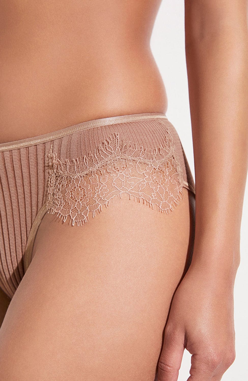 Sheer Lingerie Zimmerli Underwear Richelieu Cotton Lace Brief