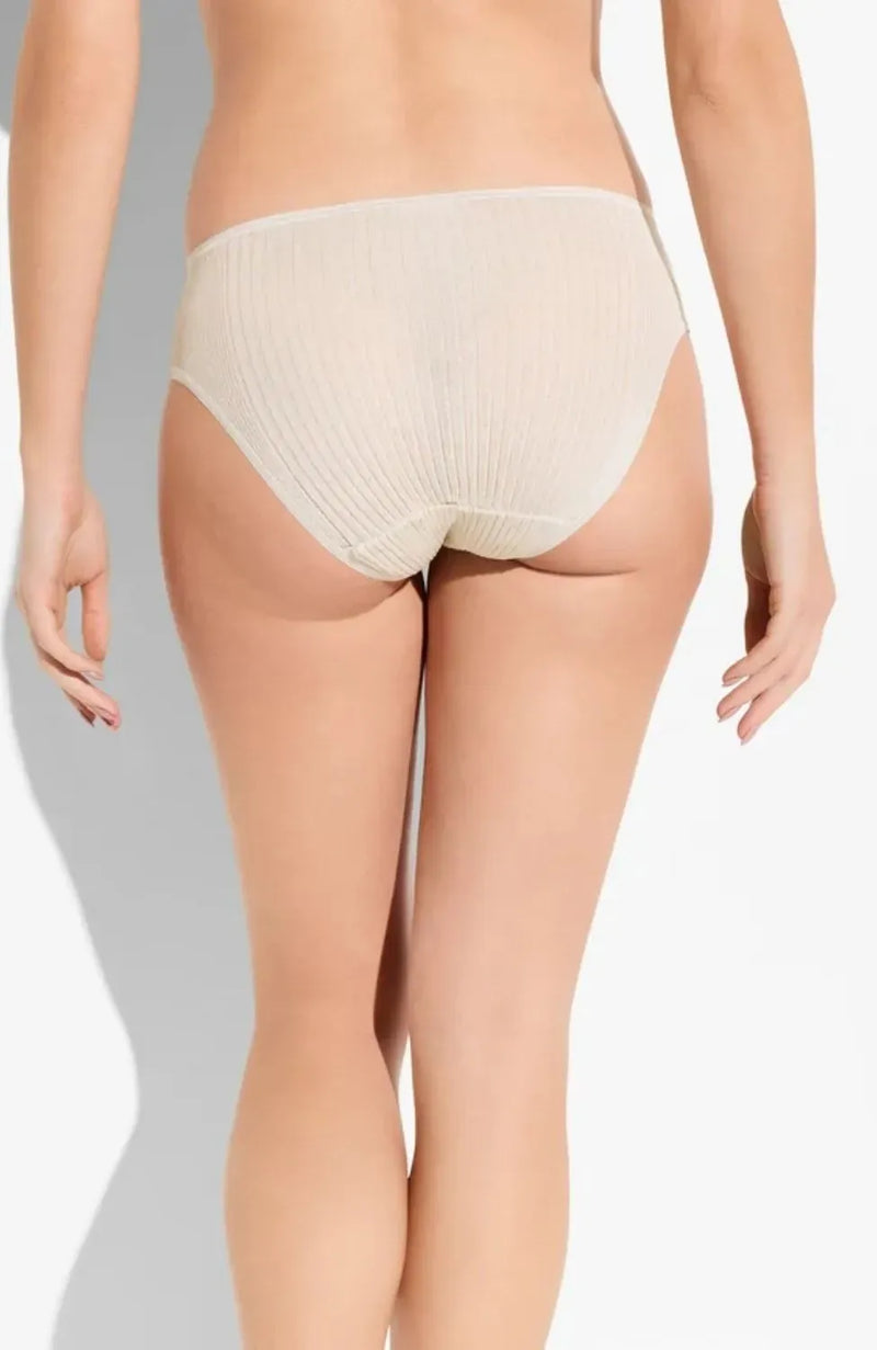 Sheer Lingerie Zimmerli Underwear Richelieu Cotton Lace Briefs