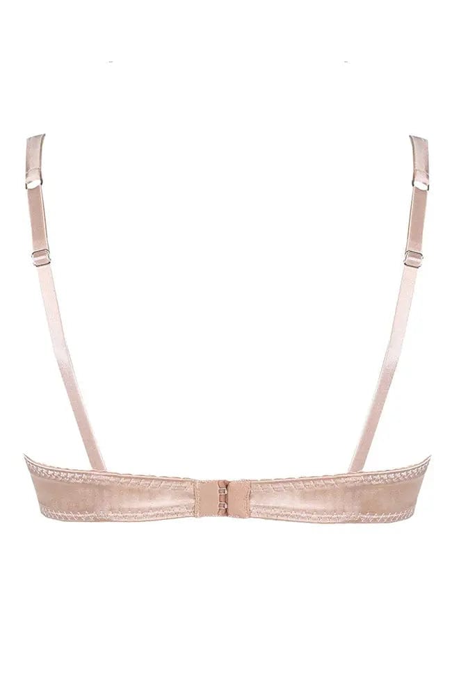 %shop_name_% Fleur of England_Signature Blush Padded Plunge Bra _ Bras_ 1200.00