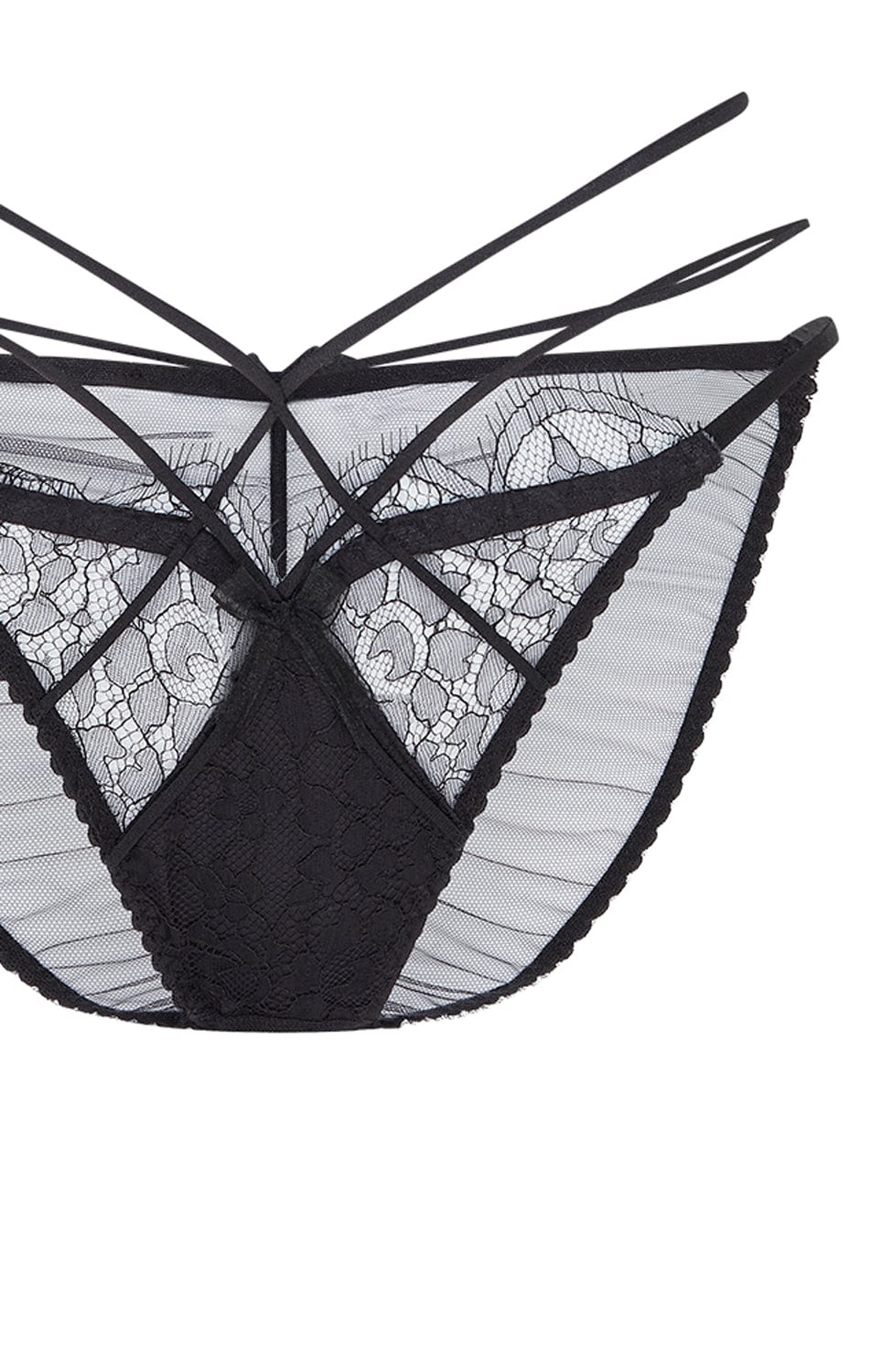 Halley Brief