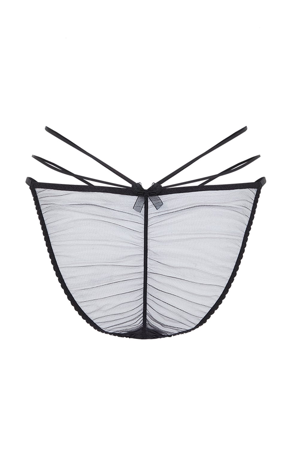 Halley Brief