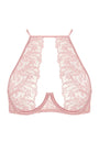 %shop_name_% Coco de Mer x Sheer_Rose High Neck Plunge Bra _ Bras_ 1950.00