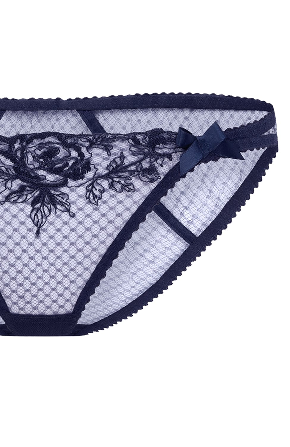 Sheer Lingerie Agent Provocateur Underwear Rosia Brief