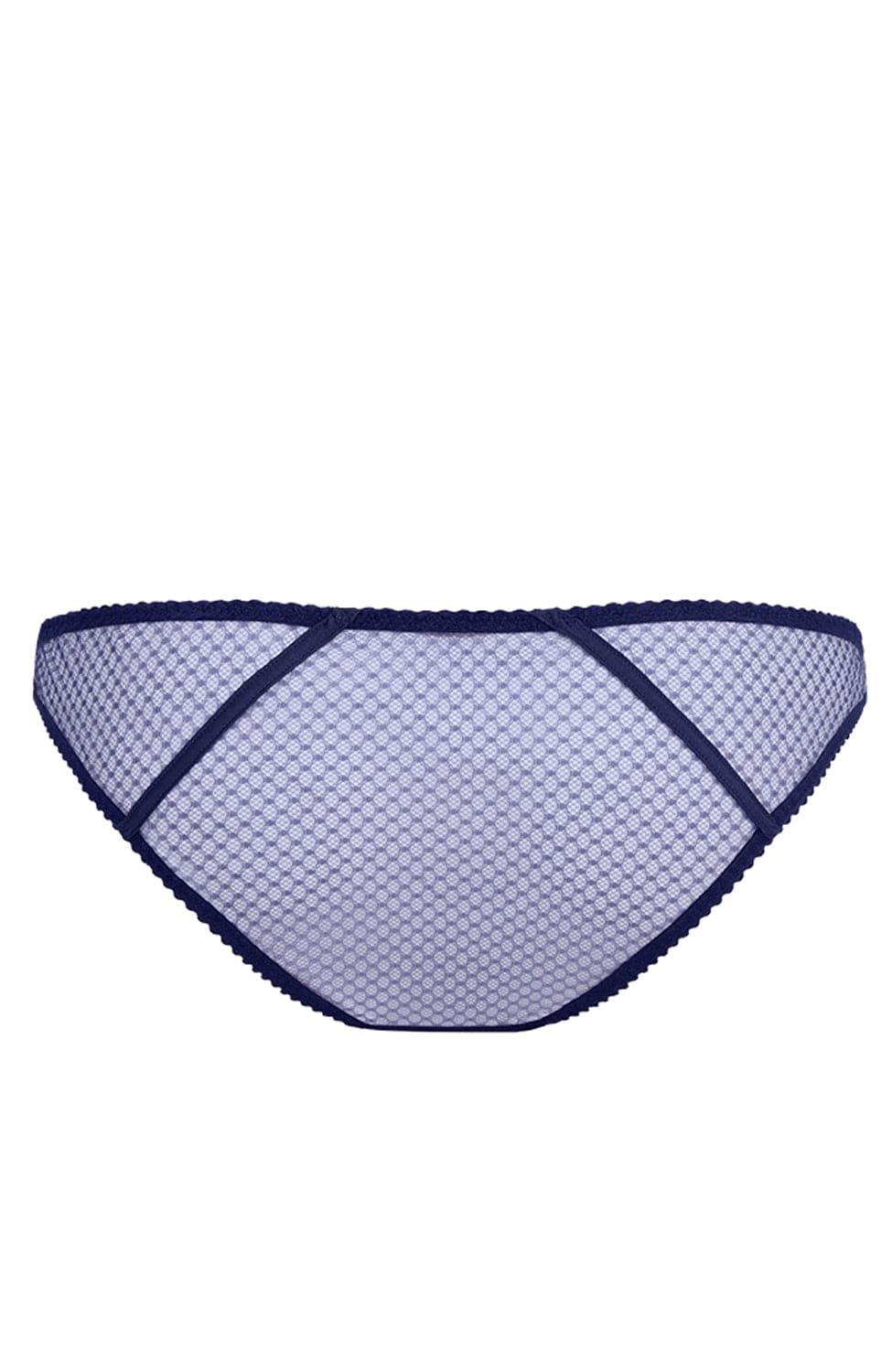 Sheer Lingerie Agent Provocateur Underwear Rosia Brief