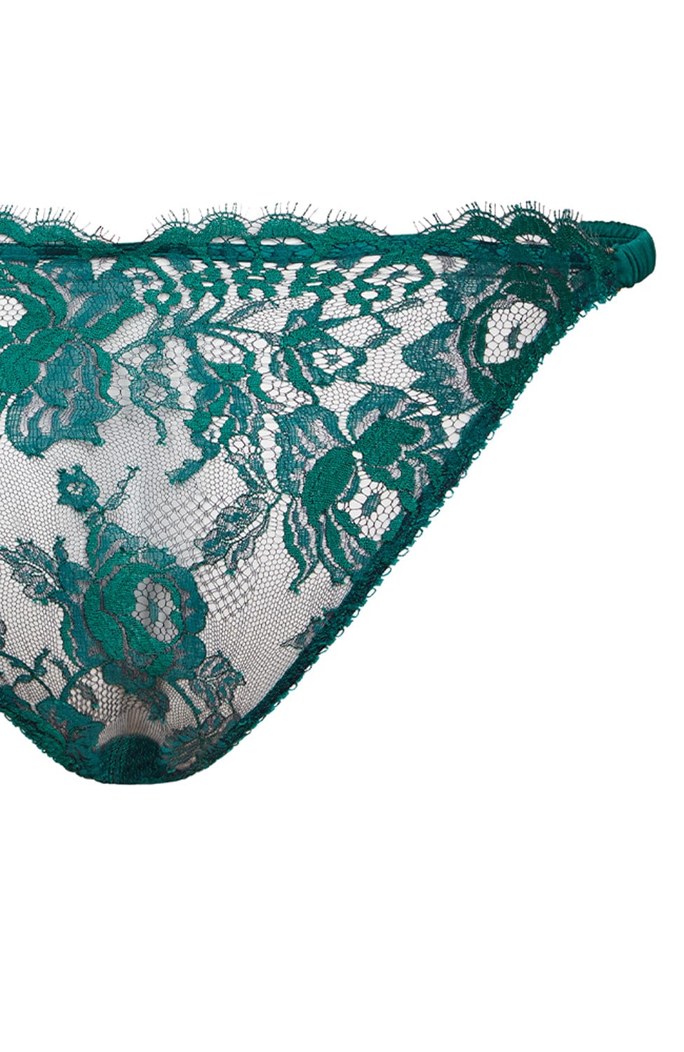 Sheer Lingerie Agent Provocateur Underwear Solanna Brief