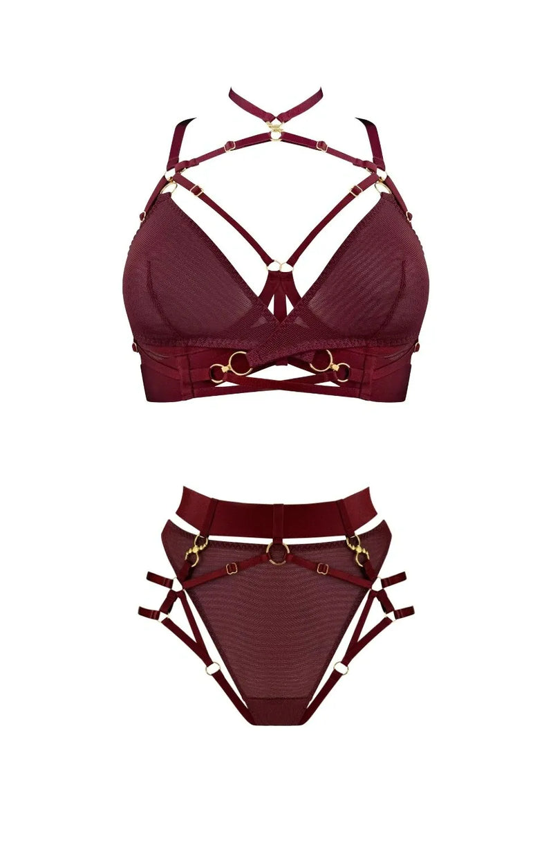 Sheer Lingerie Bordelle Lingerie Sets Neda Multi-Style Bodice Bra and Harness Brief Set