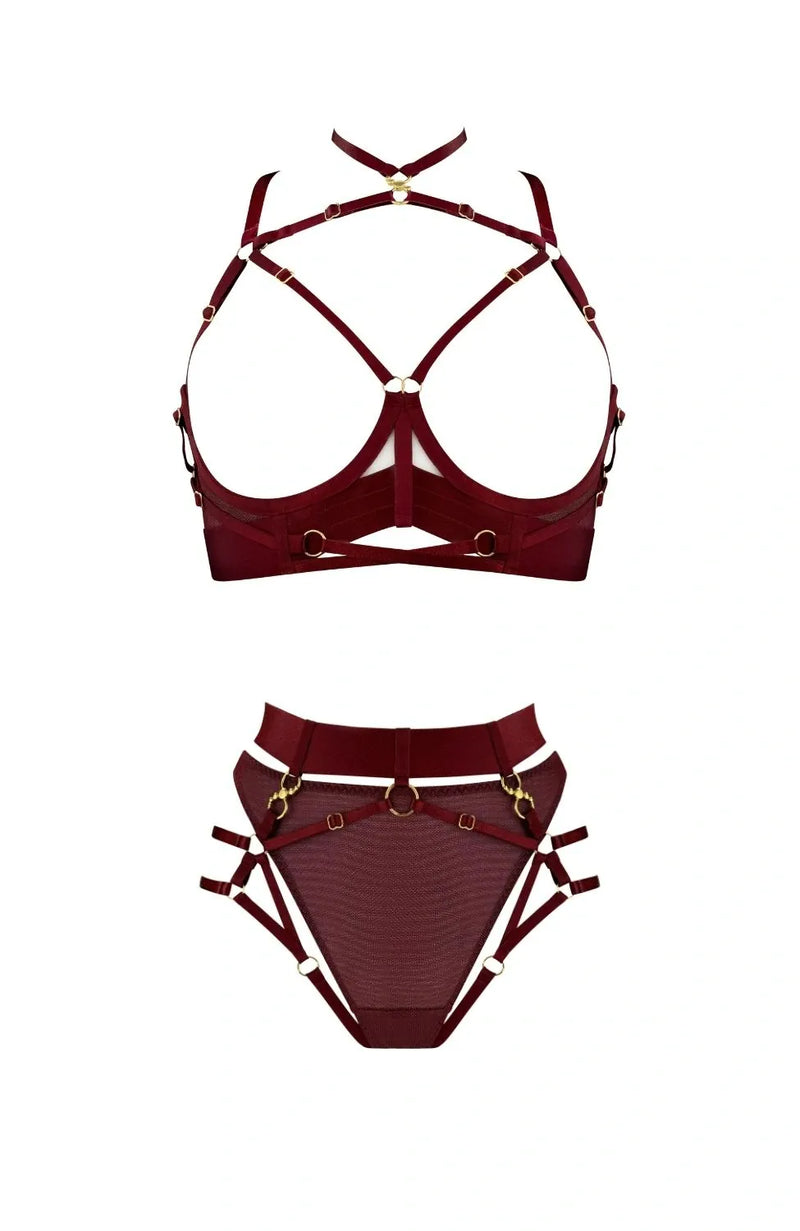 Sheer Lingerie Bordelle Lingerie Sets Neda Multi-Style Bodice Bra and Harness Brief Set