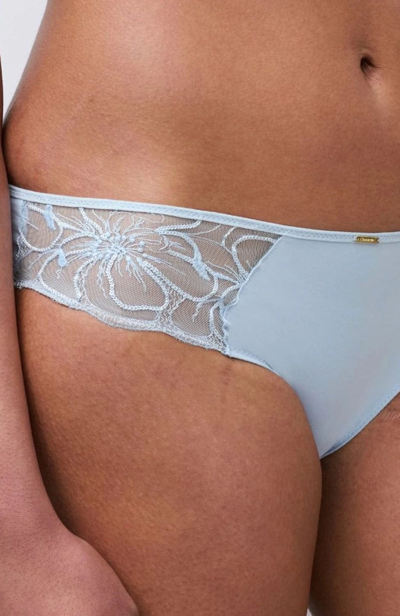 Sheer Lingerie Chantelle Underwear Fleurs Brief