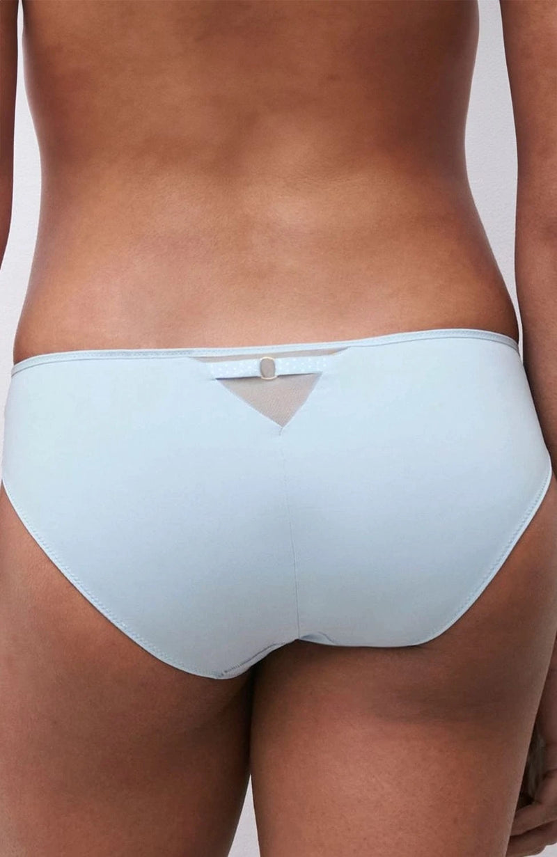Sheer Lingerie Chantelle Underwear Fleurs Brief