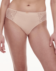 Sheer Lingerie Chantelle Underwear Origins Brief