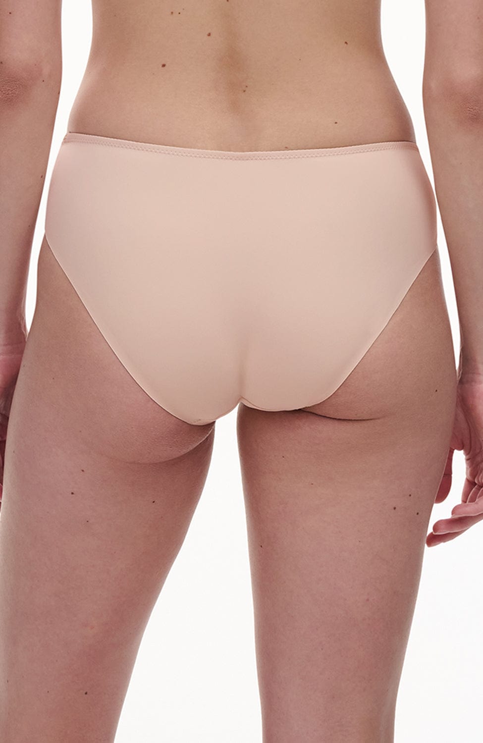 Sheer Lingerie Chantelle Underwear Origins Brief