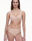 Sheer Lingerie Chantelle Underwear Origins Brief