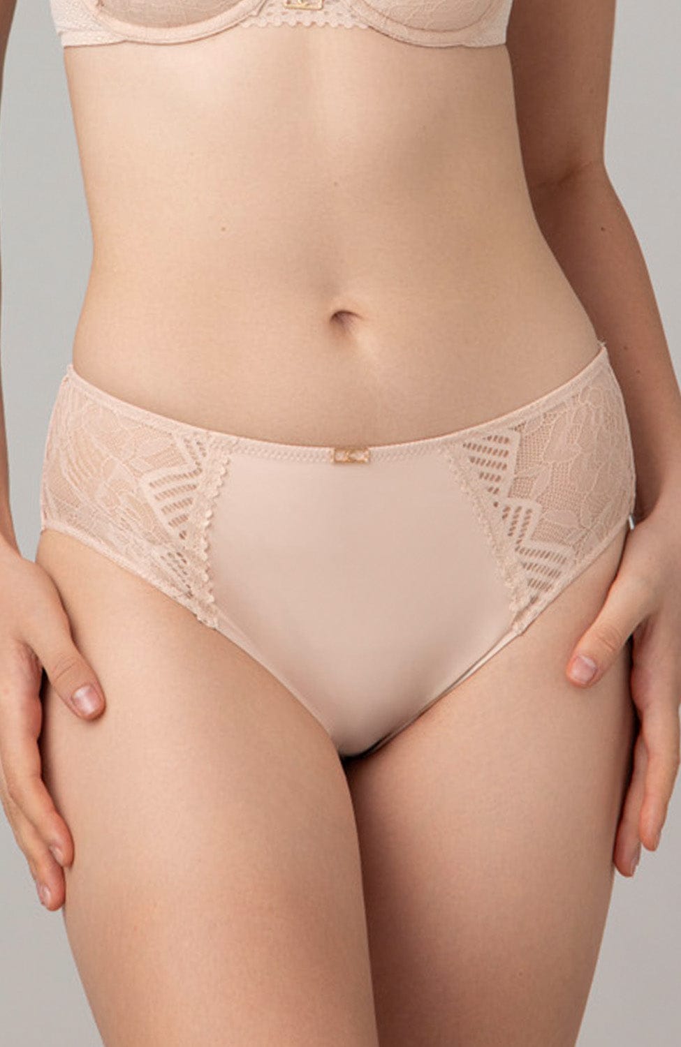 Sheer Lingerie Chantelle Underwear Origins Brief