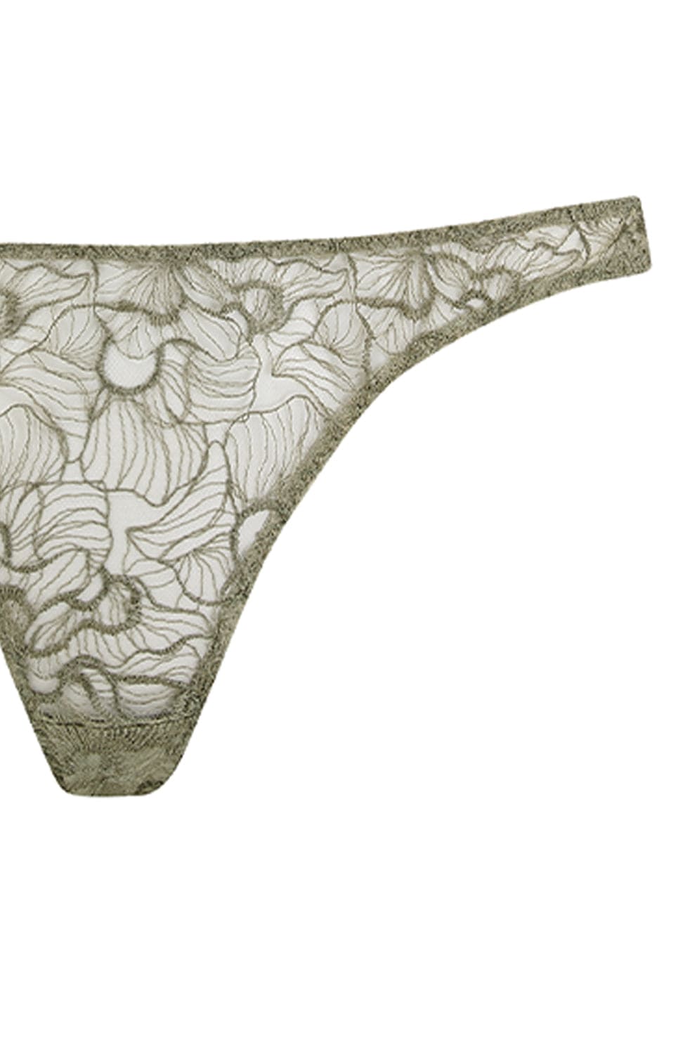 Sheer Lingerie Coco De Mer Underwear Lila Brazilian Knicker