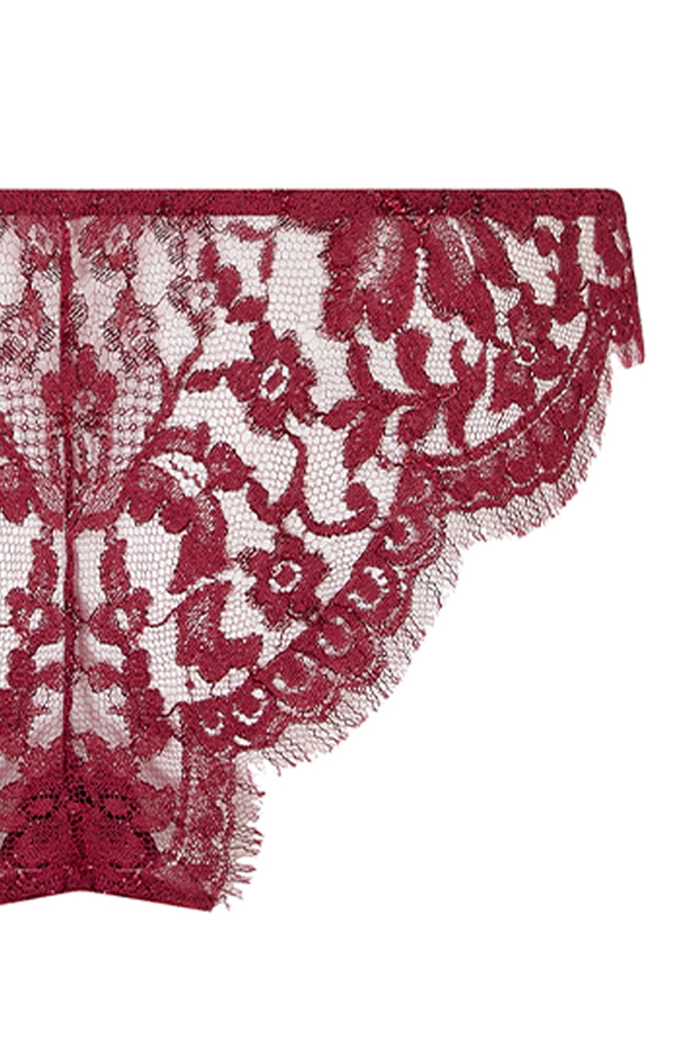 Sheer Lingerie Coco De Mer Underwear Naraya Brazilian Knicker