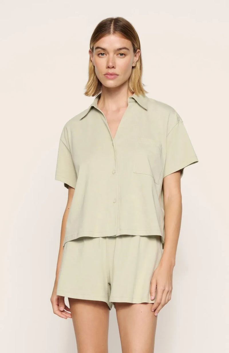 Sheer Lingerie Eberjey Loungewear Pima Cotton Short Pyjama Set