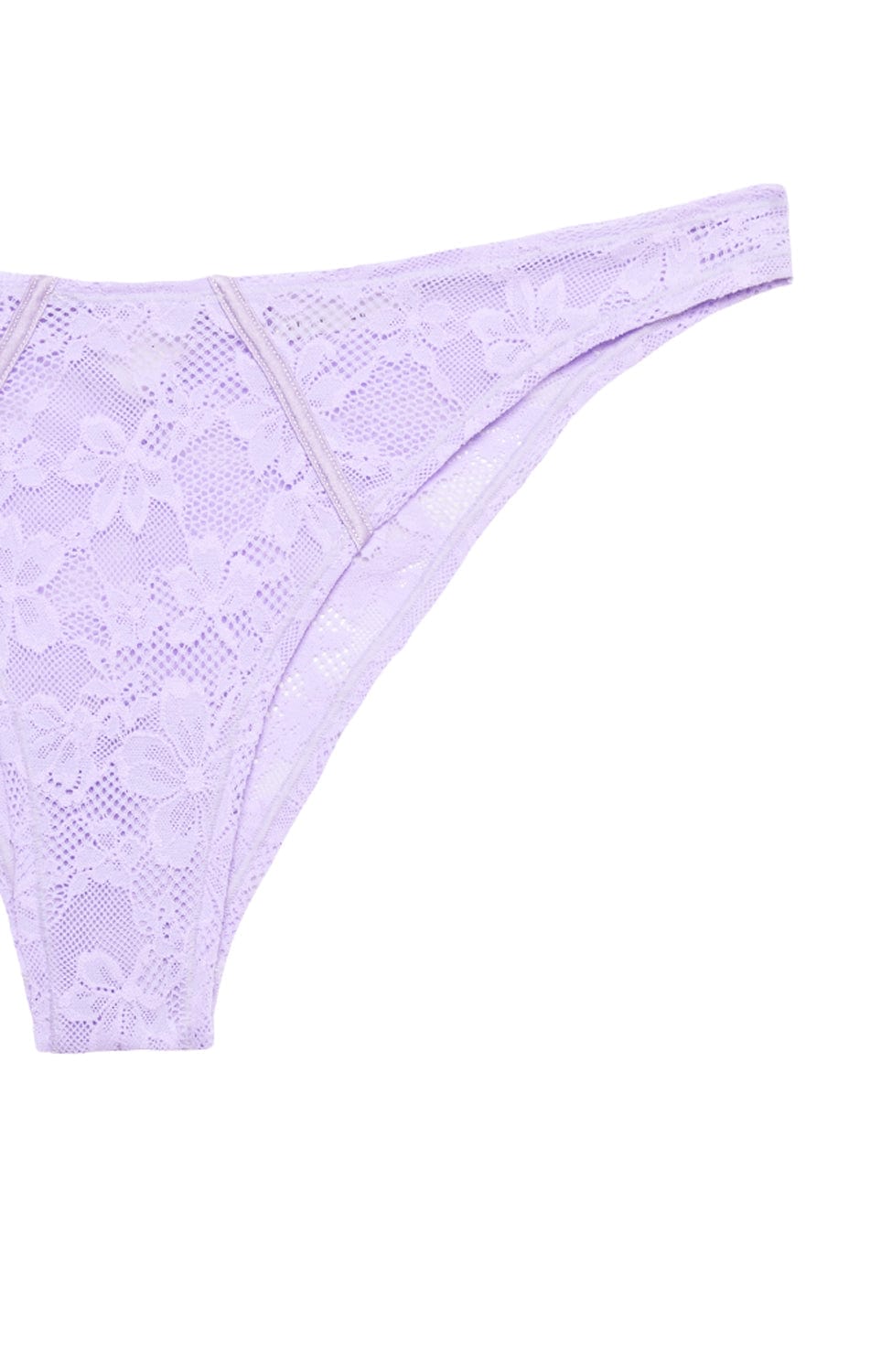 Sheer Lingerie Fleur du Mal Underwear Le Stretch Lace Cheeky