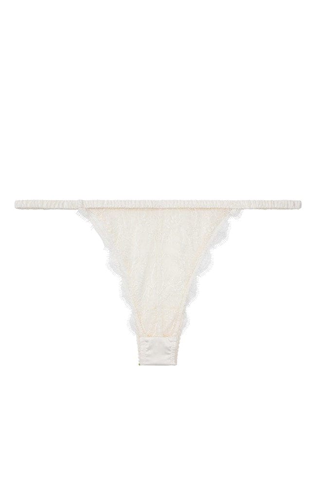 Sheer Lingerie Love Stories Underwear Charlotte Brief