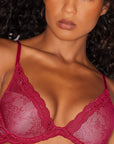 Sheer Lingerie Natori Bras Feathers Contour Lace Plunge Bra