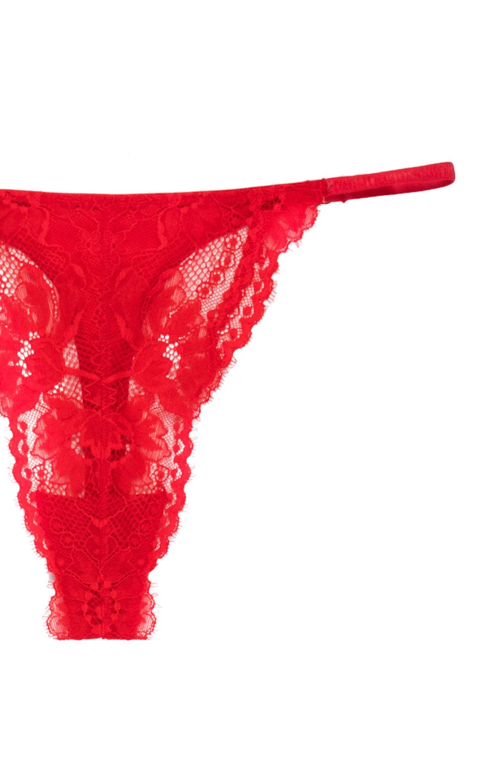 Sheer Lingerie Natori Underwear Fleur Thong