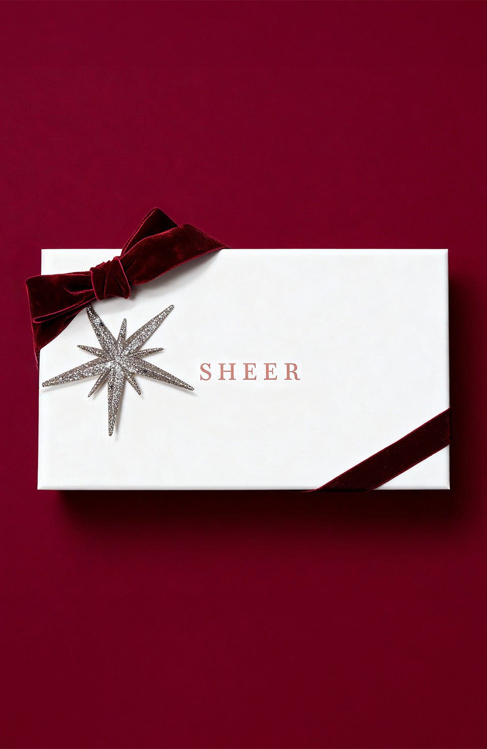 Sheer Lingerie SHEER wrapping Gift wrapping