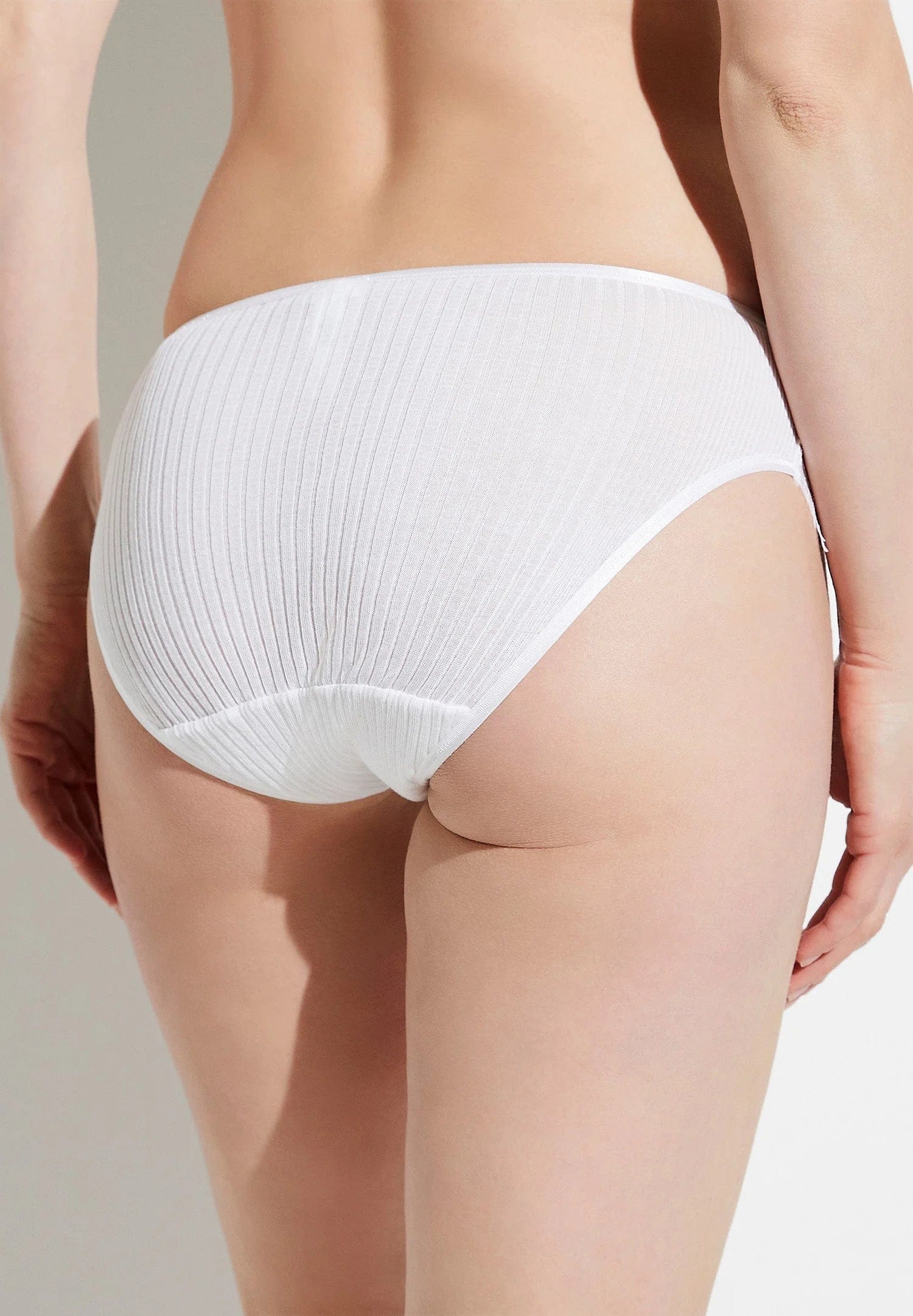 Sheer Lingerie Zimmerli Underwear Richelieu Cotton Lace Brief