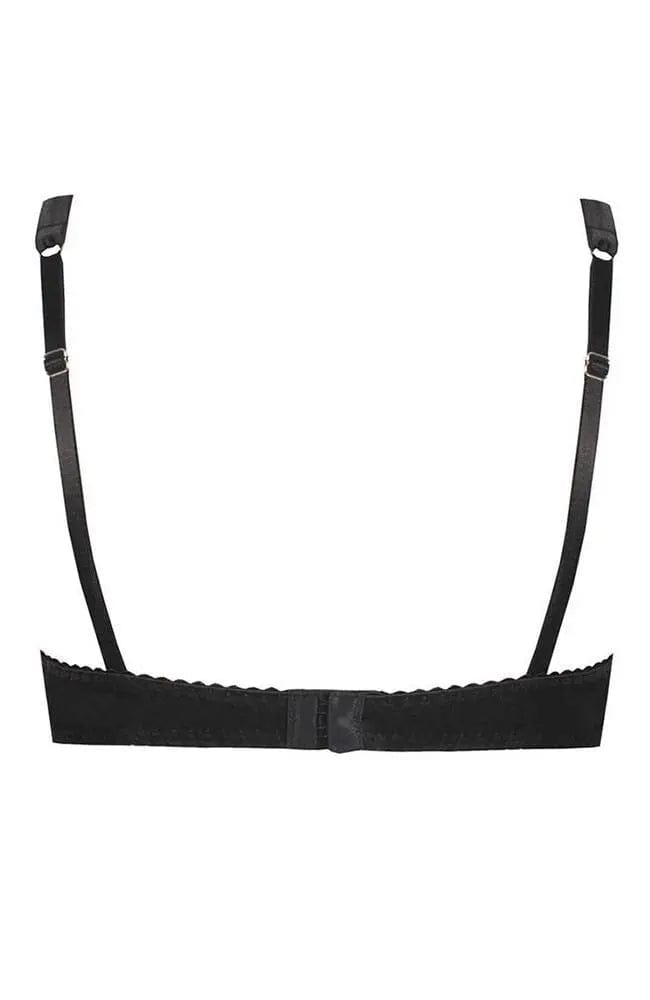 Sheer Lingerie Fleur of England Bras Signature Padded Plunge Bra